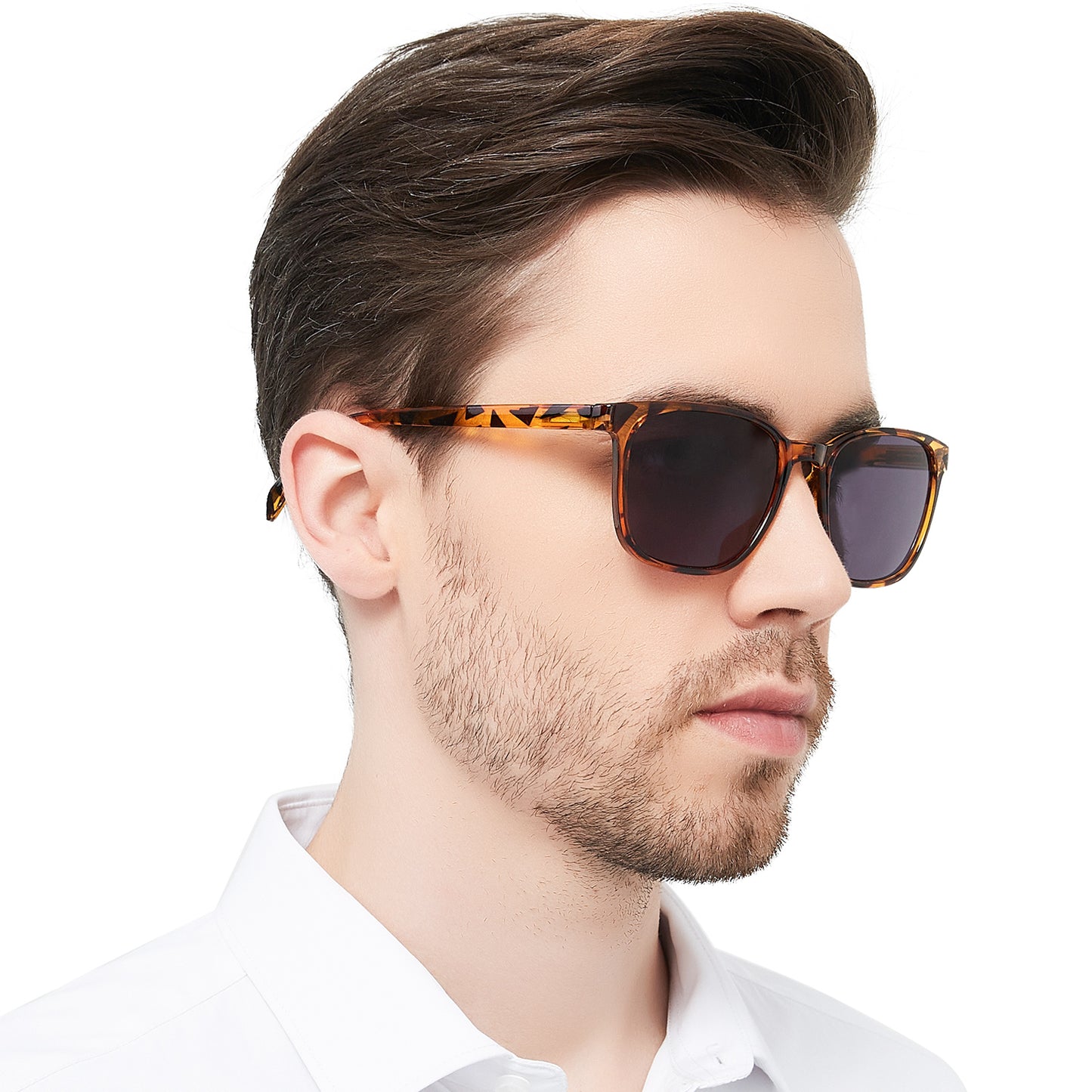 OCCI CHIARI XL Sunglasses with Readers for Men Large Head Comfortable Sun Reading Glasses OC5209SR