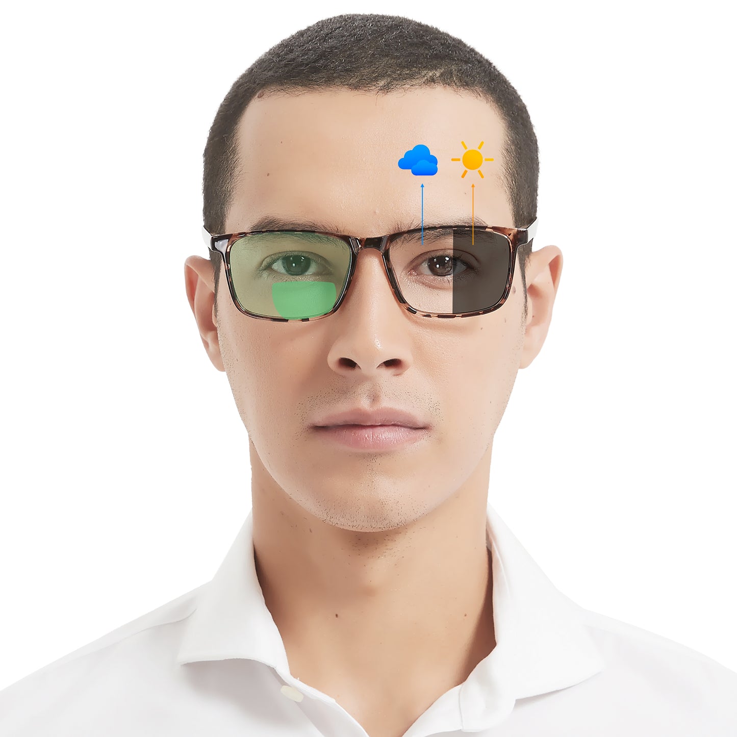 OCCI CHIARI Photochromic Bifocal Reading Sunglasses for Men BS OC5195