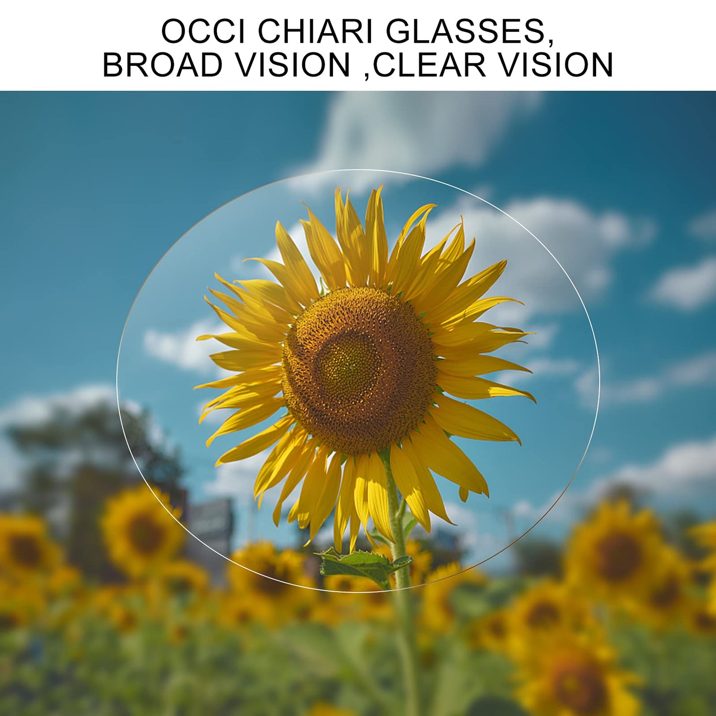 OCCI CHIARI Reading Glasses Women's Oval Reader Clear Frame OC5029